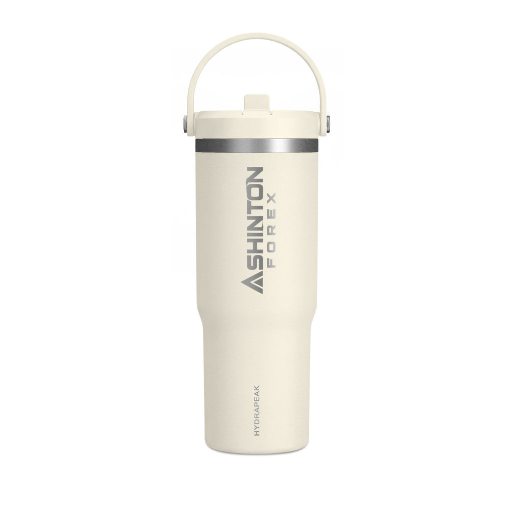 Ashinton Insulated Travel Bottle with Carry Handle