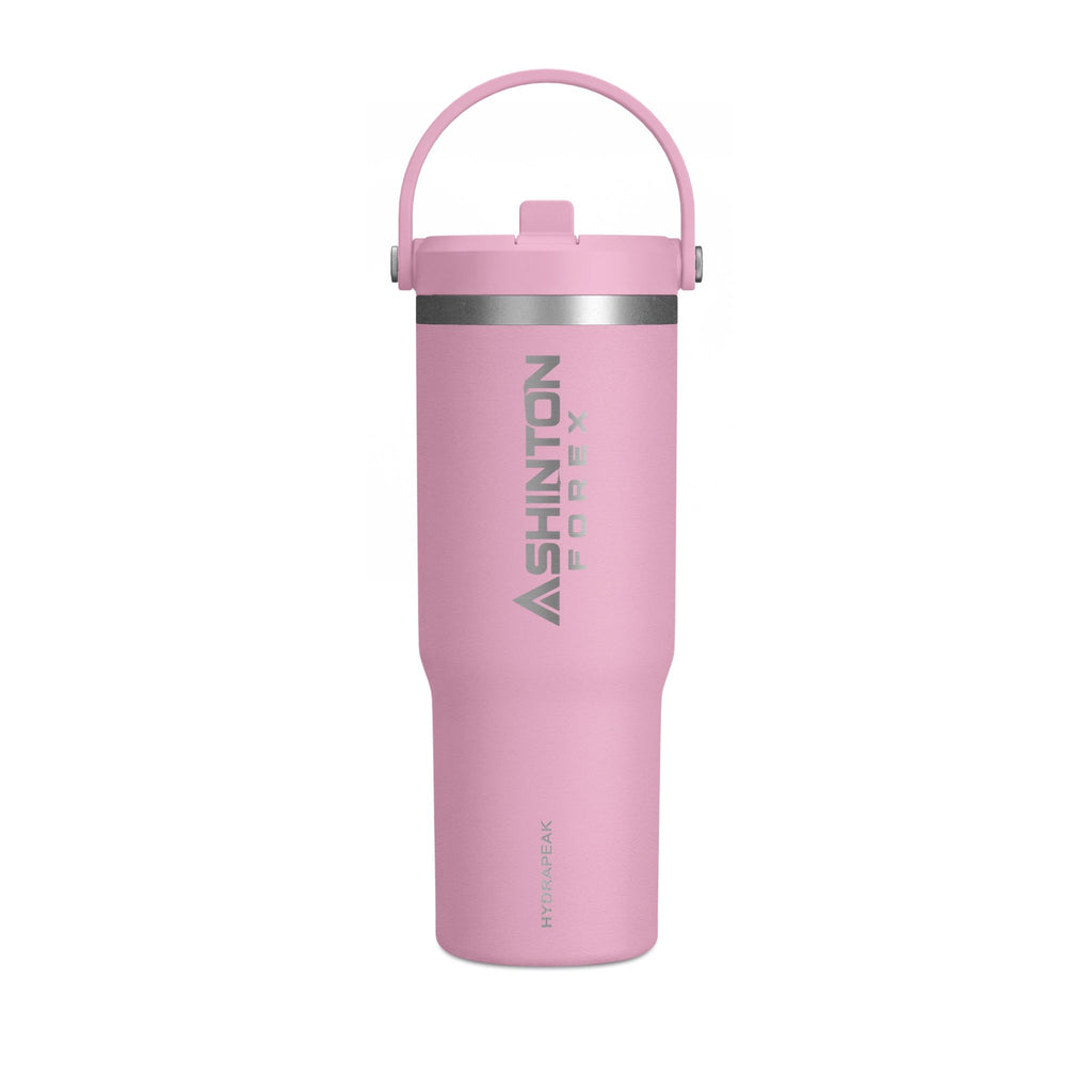 Ashinton Insulated Travel Bottle with Carry Handle