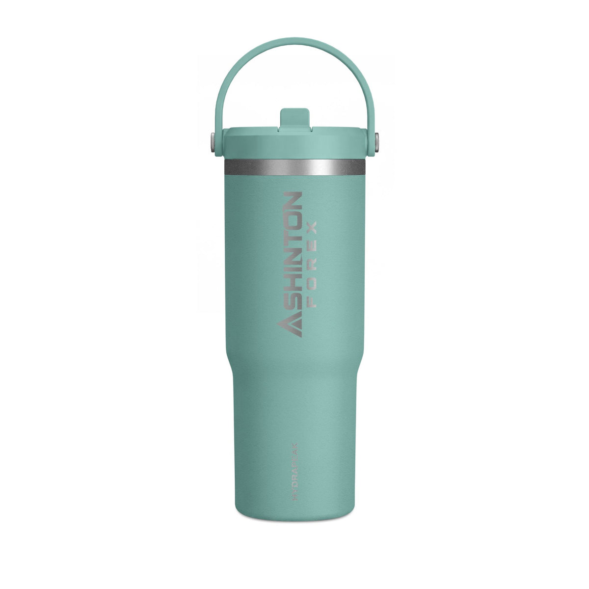 Ashinton Insulated Travel Bottle with Carry Handle