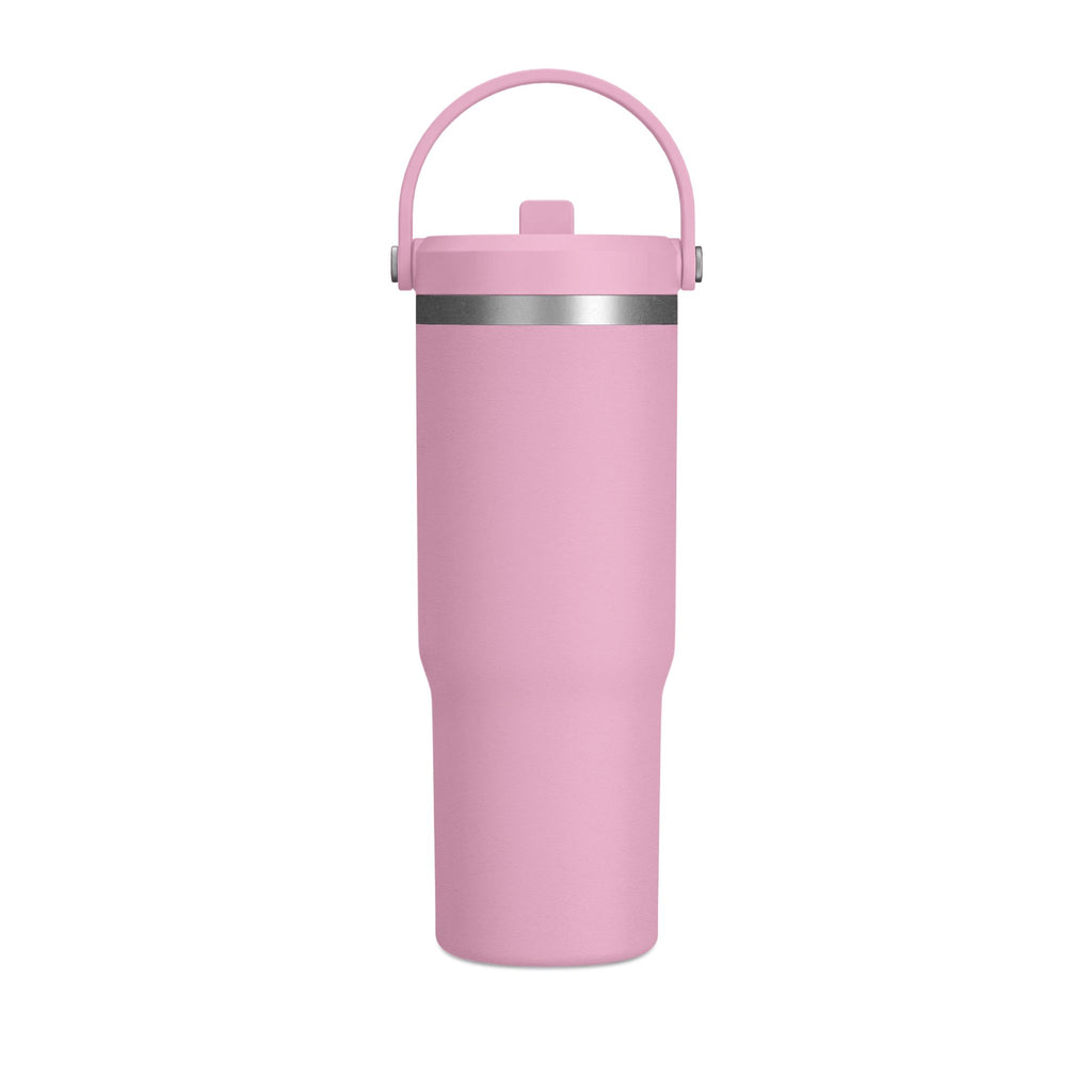 Ashinton Insulated Travel Bottle with Carry Handle