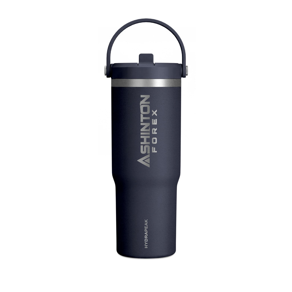 Ashinton Insulated Travel Bottle with Carry Handle
